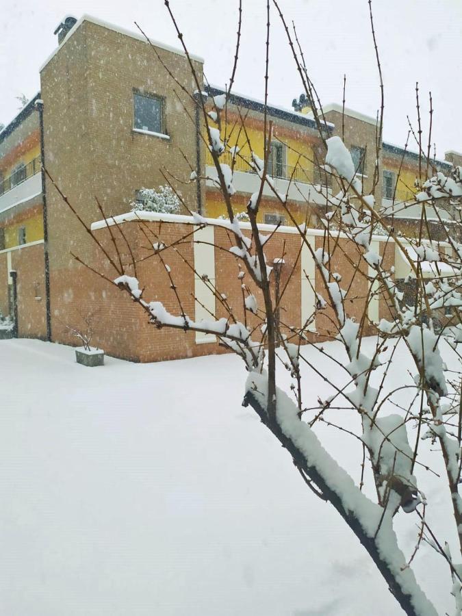 Appartamenti Alle 5 Torri Mezzolombardo Dış mekan fotoğraf